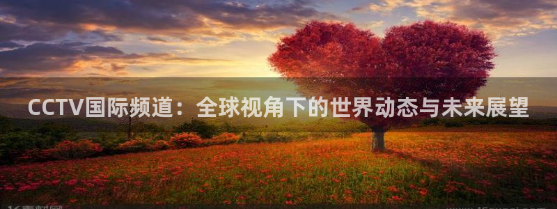 火凤直播体育官网入口在线观看：CCTV国际频道：全球视角下的世界动态与未来展望