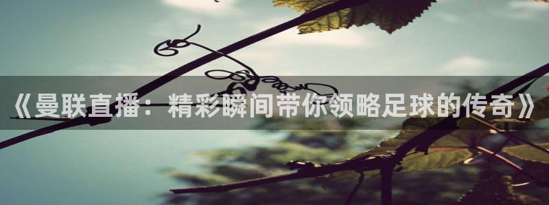 火凤直播体育官网：《曼联直播：精彩瞬间带你领略足球的传奇》