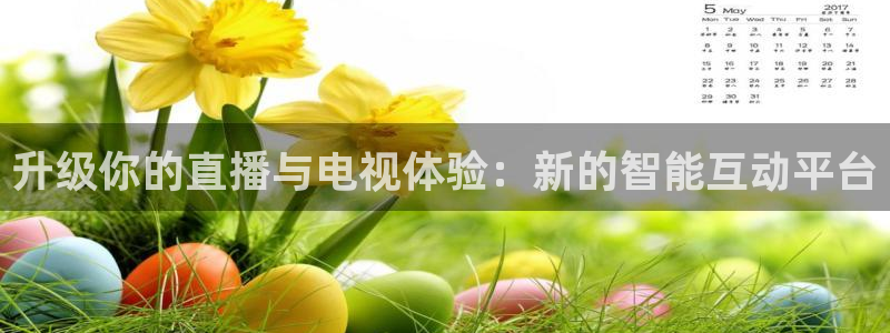 火凤直播体育免费直播
