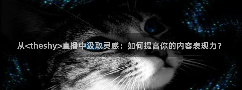 火凤直播体育免费直播